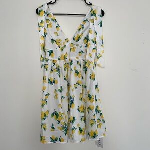 NWT Cider Dress